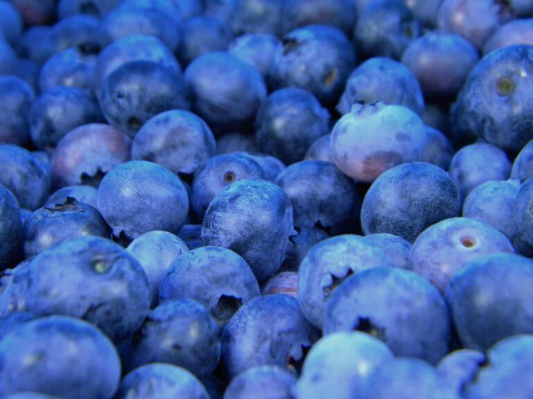 Sélection variée de fruits en entreprise