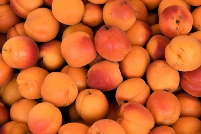 Panier d'agrumes frais pour l'entreprise